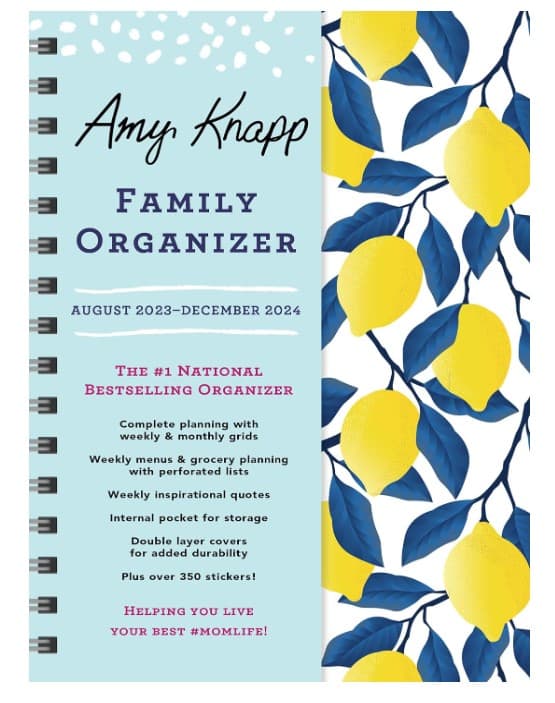 AMY KNapp planner for moms